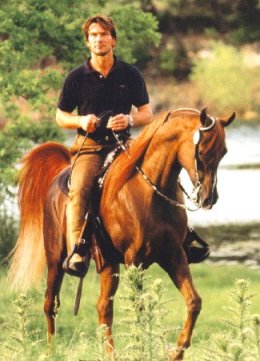 Patrick Swayze - Arab Stallion